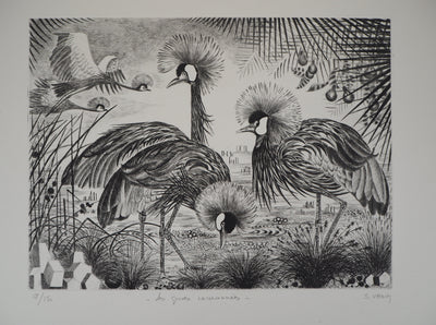 Simone VRAIN : Les grues couronnées - Gravure