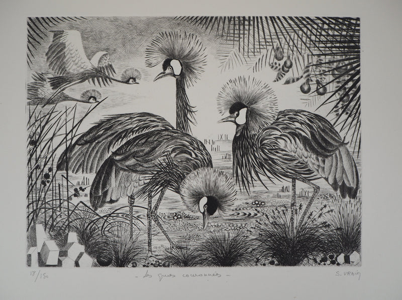 Simone VRAIN : Les grues couronnées - Gravure