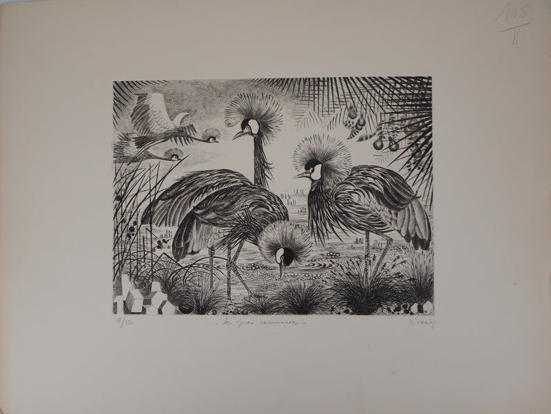 Simone VRAIN : Les grues couronnées - Gravure (détail)