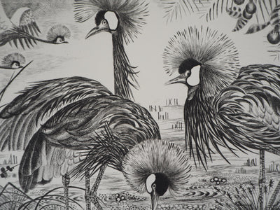 Simone VRAIN : Les grues couronnées - Gravure (détail)