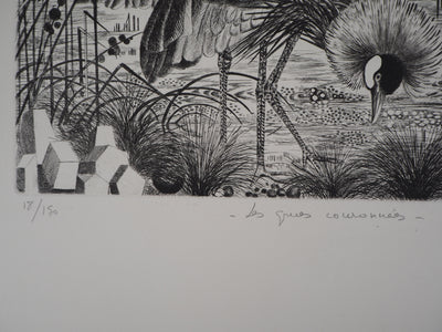 Simone VRAIN : Les grues couronnées - Gravure (détail)