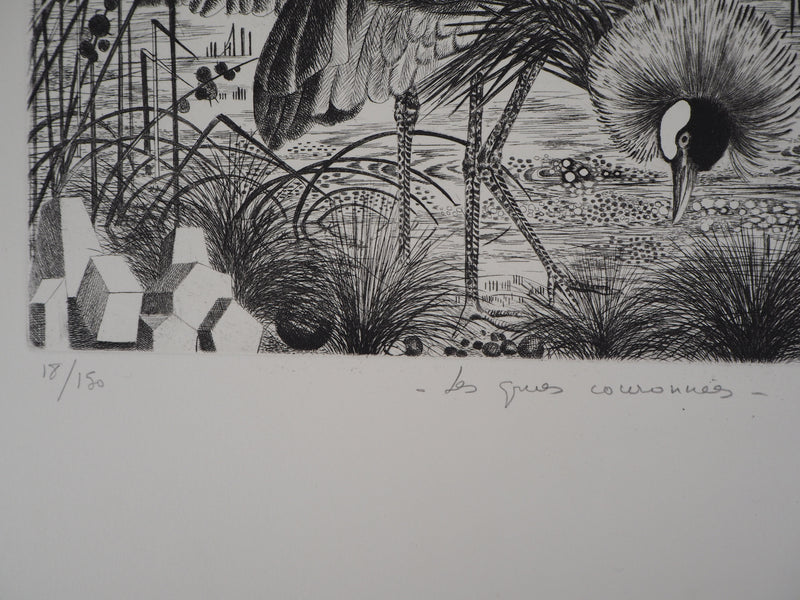 Simone VRAIN : Les grues couronnées - Gravure (détail)