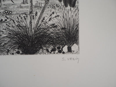 Simone VRAIN : Les grues couronnées - Gravure (détail)