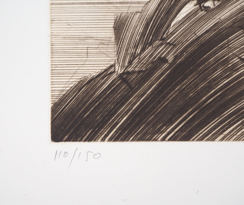 Claude WEISBUCH : Portrait d&