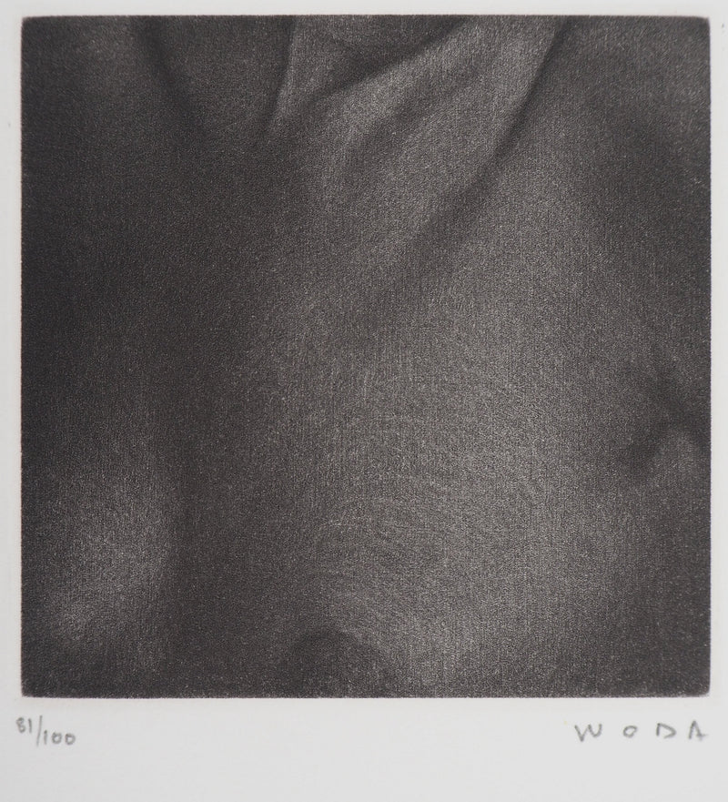 Albert WODA : Au creux de l&
