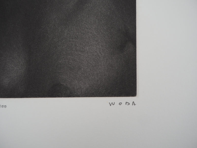 Albert WODA : Au creux de l&