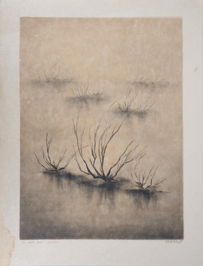  ZAROU : Désert - Lithographie
