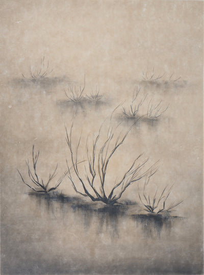  ZAROU : Désert - Lithographie (détail)