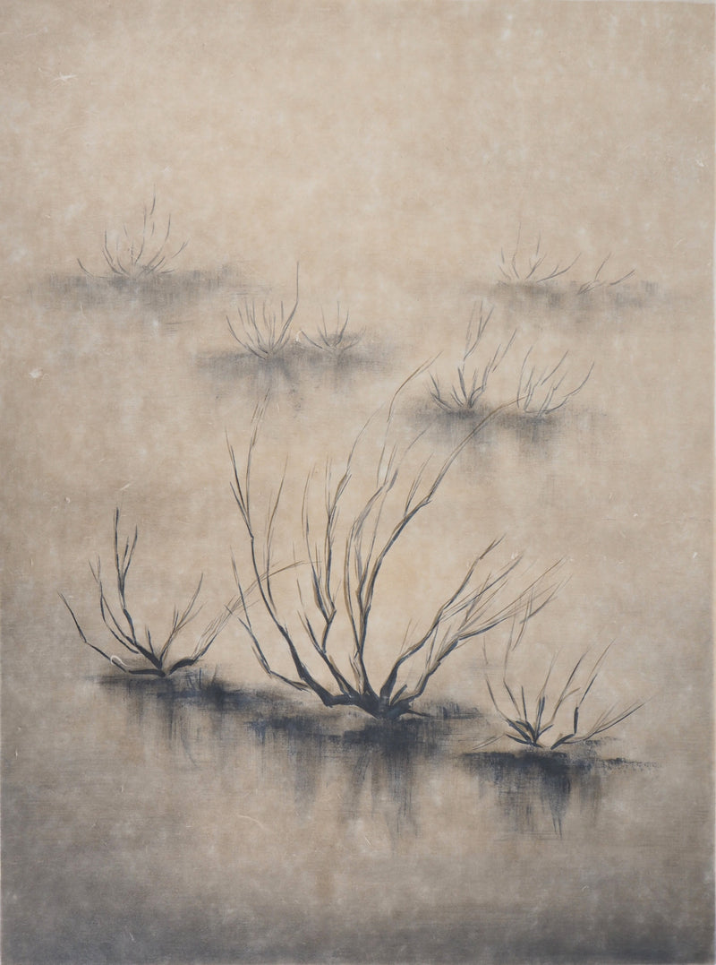  ZAROU : Désert - Lithographie (détail)