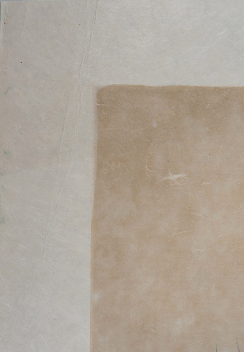  ZAROU : Désert - Lithographie (détail)